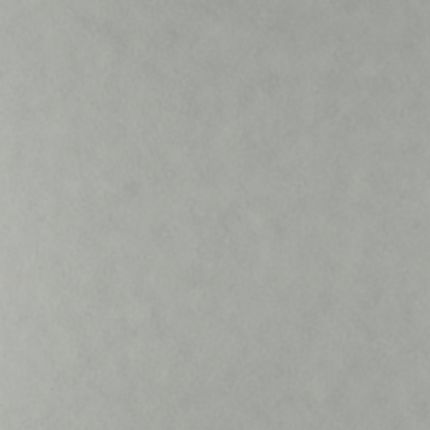Tints 20531
